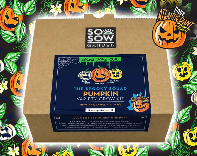 Featured listing image: Pumpkin Variety Grow Kit: Halloween Craft, 3 Spooky Seed Varieties