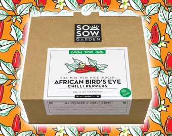 Grow Your Own Chilli Peppers - Chilli Grow kit - Peri Peri Peppers - Chili Seeds - African Birds eye Cooking Gift