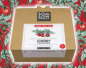 Grow Your Own Tomatoes - Tomato Grow kit - Cherry Tomatoes - Tomato Seeds