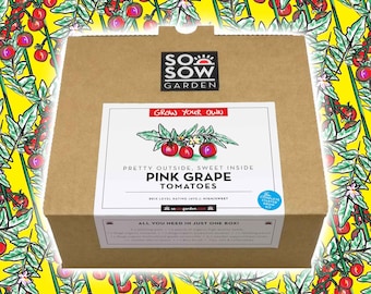 Grow Your Own Tomatoes - Tomato Grow kit - Pink Grape Tomatoes - Tomato Seeds - Mothers Day Gift
