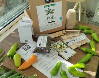 Grow Your Own Chilli Peppers - Chilli Grow kit - Bullet Peppers - Chili Seeds