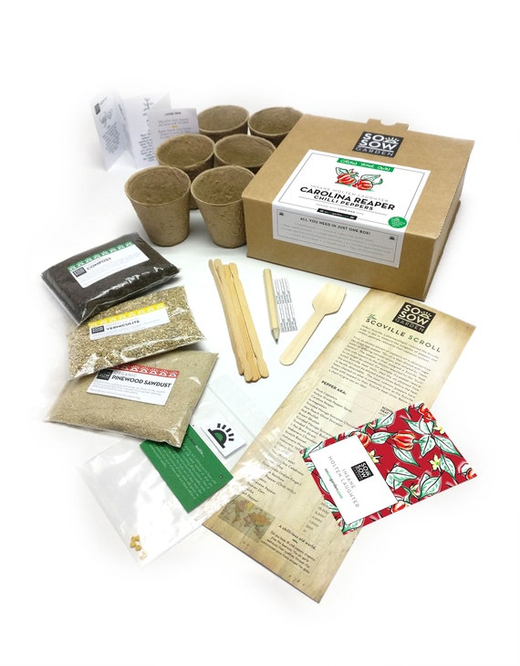 CHRISTMAS SALE!!! Grow Your Own Carolina Reaper Chilli Plant Kit