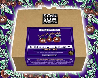 Grow Your Own Tomatoes - Tomato Grow kit - Chocolate Cherry Tomatoes - Tomato Seeds - Chocolate Coloured Cherry Tomatoes