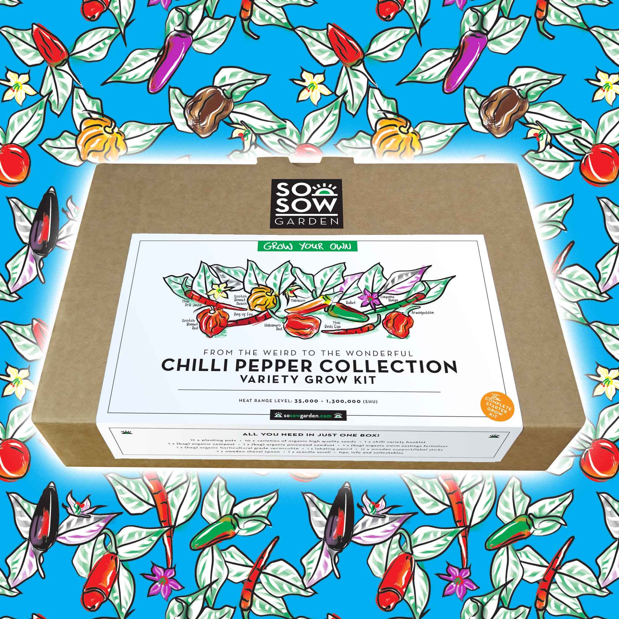 Grow Your Own Chilli Peppers Chilli Grow kit Chilli Pepper