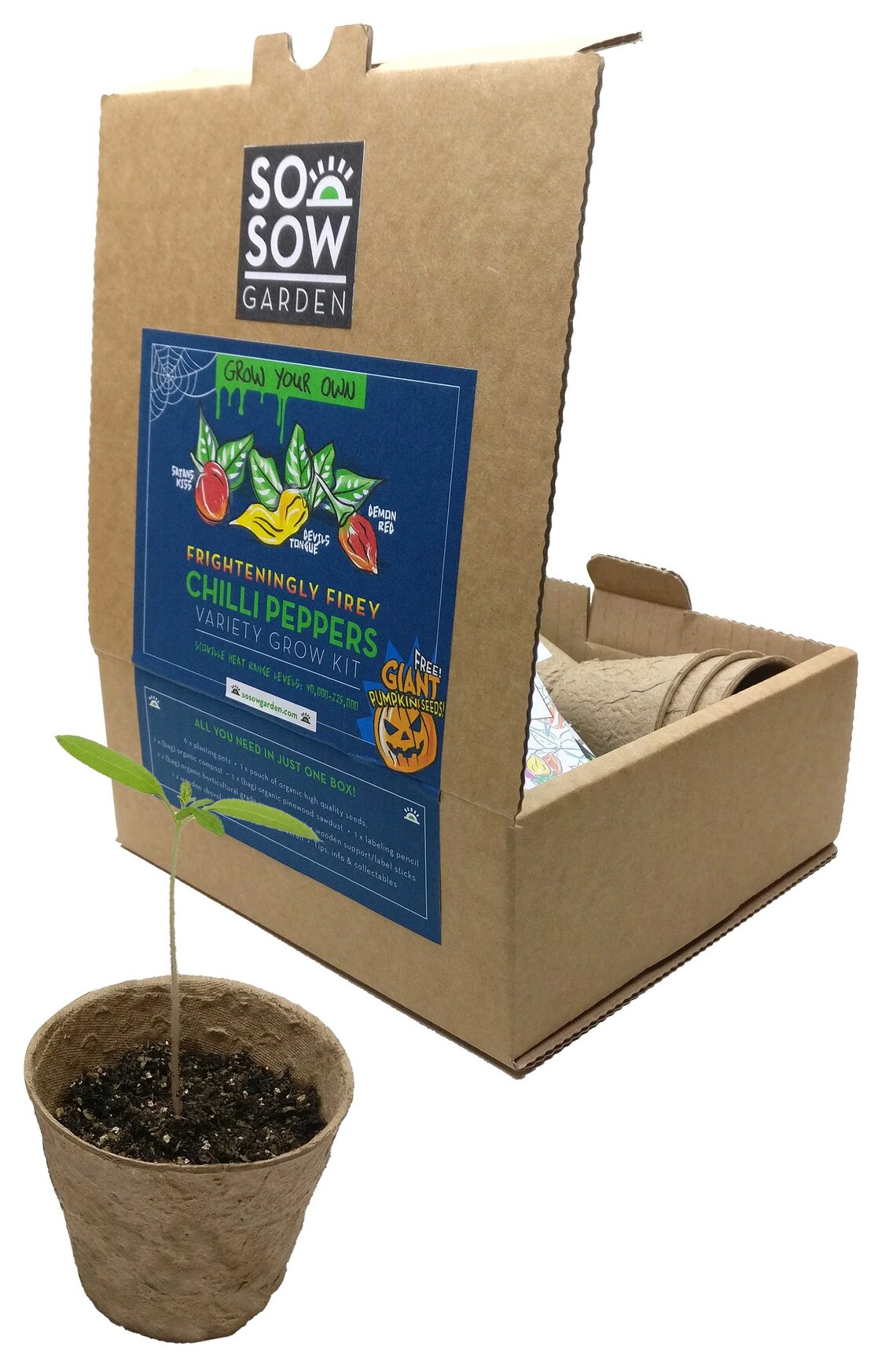 Chilli Grow Kit Variety Pack Grow Your Own Frighteningly Etsy UK