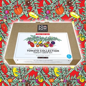 May include: A brown cardboard box with a white label that says "SO SOW GARDEN Grow Your Own FROM THE WEIRD TO THE WONDERFUL TOMATO COLLECTION VARIETY GROW KIT SIZE RANGE: MEDIUM - VERY SWEET ALL YOU NEED IN JUST ONE BOX!" The box is surrounded by a red background with a pattern of green leaves and colourful tomatoes.