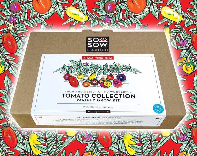 Featured listing image: Tomato Grow Kit: 10 Seed Varieties, Complete Growing Set
