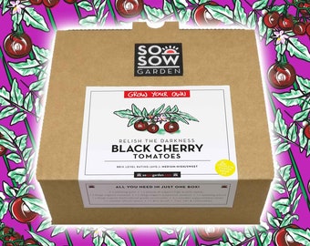 Grow Your Own Tomatoes - Tomato Grow kit - Black Cherry Tomatoes - Tomato Seeds