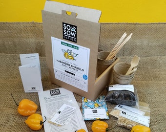 Grow Your Own Chilli Peppers - Chilli Grow kit - Habanero Amarillo Peppers - Chili Seeds - Jamaican Cooking Gift
