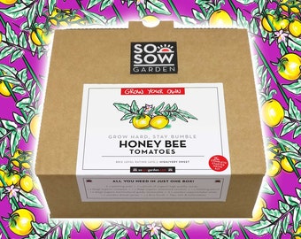 Grow Your Own Tomatoes - Tomato Grow kit - Honey Bee Tomatoes - Tomato Seeds