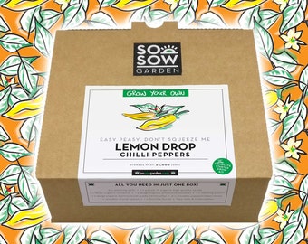 Grow Your Own Chilli Peppers - Chilli Grow kit - Lemon Drop Peppers - Chili Seeds - Aji Limon Chillies