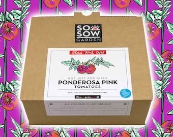 Grow Your Own Tomatoes - Tomato Grow kit - Ponderosa Pink Tomatoes - Tomato Seeds