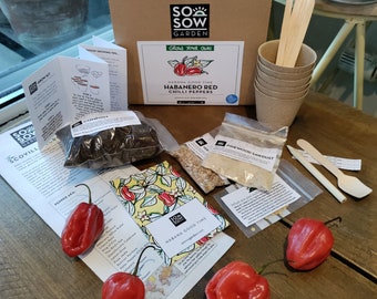Grow Your Own Chilli Peppers - Chilli Grow kit - Habanero Red Peppers - Chili Seeds - Mexican Cooking Gift