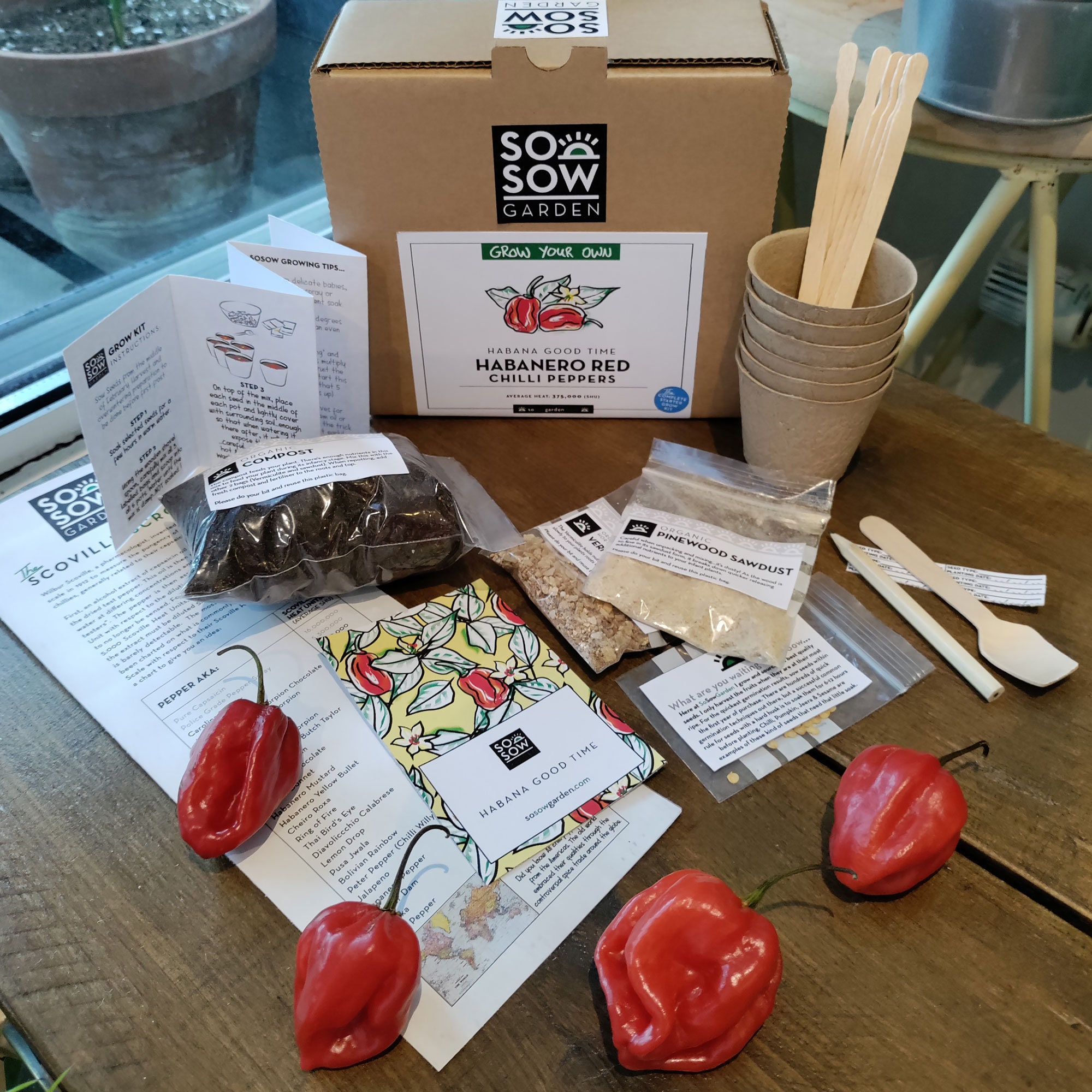 Growing Chilli Plants: How to Harvest Your Own Chillies