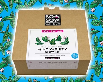 Grow Your Own Mint - Mint Variety Grow Kit - 5 Mint Collection - Herbal Tea - Peppermint - Spearmint - Lemon Mint - Catnip - Watermint