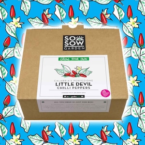 Little Devil Chilli Grow kit, Italian Cooking Gift, Diavolicchio Calabrese Peppers