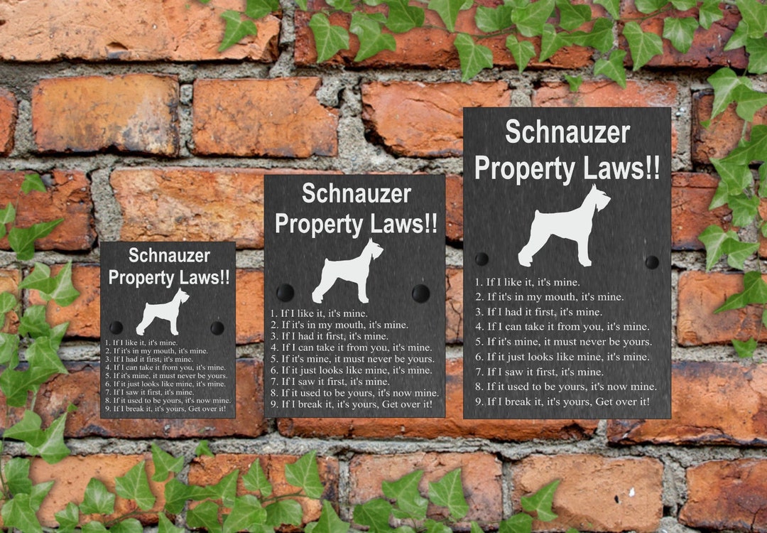 Dog Funny Property Laws Slate House Sign ANY BREED AVAILABLE 3 Sizes