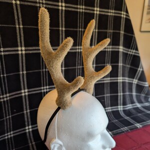 Faun Antlers