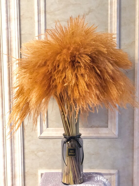 Pampas Grass Decor 90 Stem Fall 31.4 inch Pampas Grass Bouquet Etsy