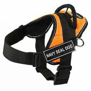 NAVY SEAL Dog Dean Tyler Working Patch Velcro® Markenhakenverschluss SMALL (W) 4 zoll by (H) 1,5 zoll