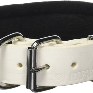 May include: Cream leather dog collar with a black padded lining. It has a silver-coloured metal buckle and D-ring for attaching a lead. The collar is designed for comfort and durability.