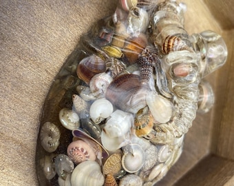 Corazón anatómico - caja de sombras - decoración de pared - conchas marinas