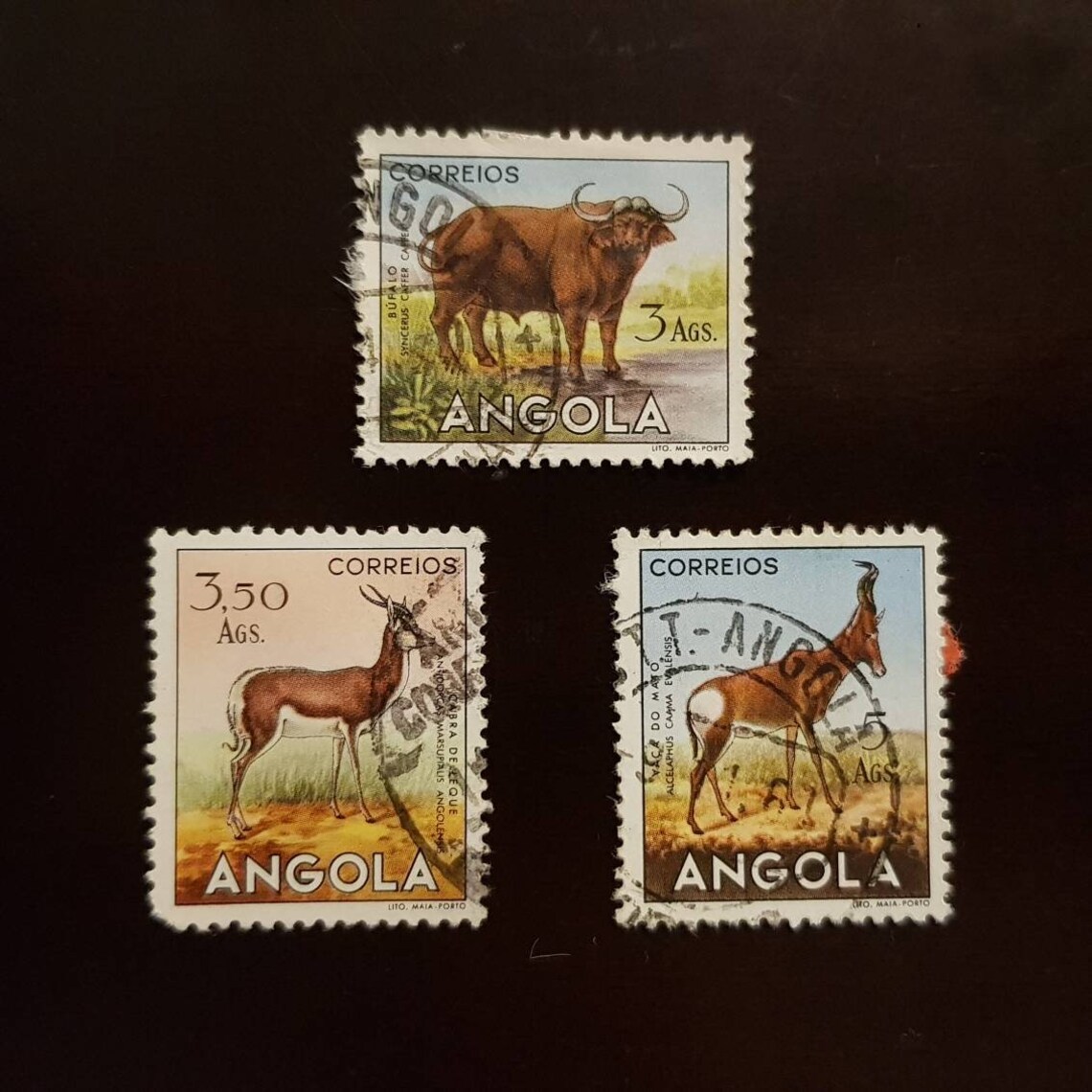 Set 3v Stamps 1953 Angola USED. Sc 373 374 376. Animals Etsy