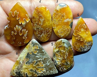 Natural Ammonite cabochon loose gemstone for jewelry making CODE 2360