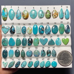 May include: A collection of forty-nine turquoise cabochons arranged in rows on a white display tray, each numbered from one to forty-nine. The stones vary in shape, including ovals, teardrops, and hearts, with shades ranging from light blue to green. A US quarter coin is included for scale.
