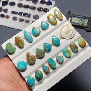 May include: A collection of turquoise gemstones in various shapes and sizes, including oval, teardrop, and irregular forms. The stones display a mix of blue and brown hues, arranged on a white tray. A US quarter is included for size reference.