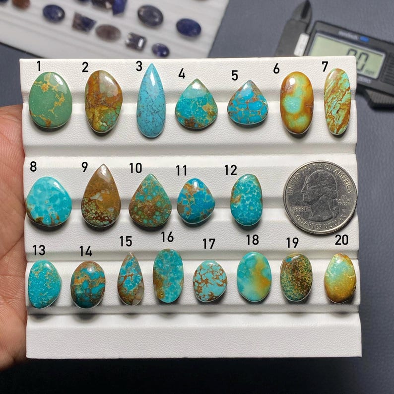 May include: A collection of twenty polished turquoise gemstones in various shapes and sizes, displayed on a white tray. The stones range in color from vibrant blue to green and brown, with a U.S. quarter for size comparison.