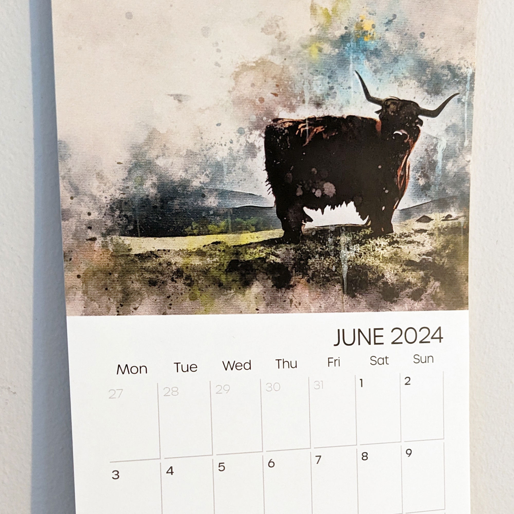 Highland Cows 2024 Wall Calendar, 12 Highland Cow Images, Free
