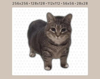 OIA Cat Meme Animated Emote GIF | Emote voor Twitch, Discord en YouTube