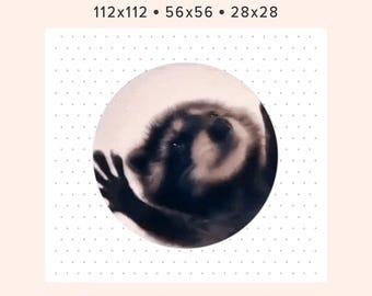 Pedro wasbeer geanimeerde emote GIF | Feestmeme-emote voor Twitch, Discord en YouTube