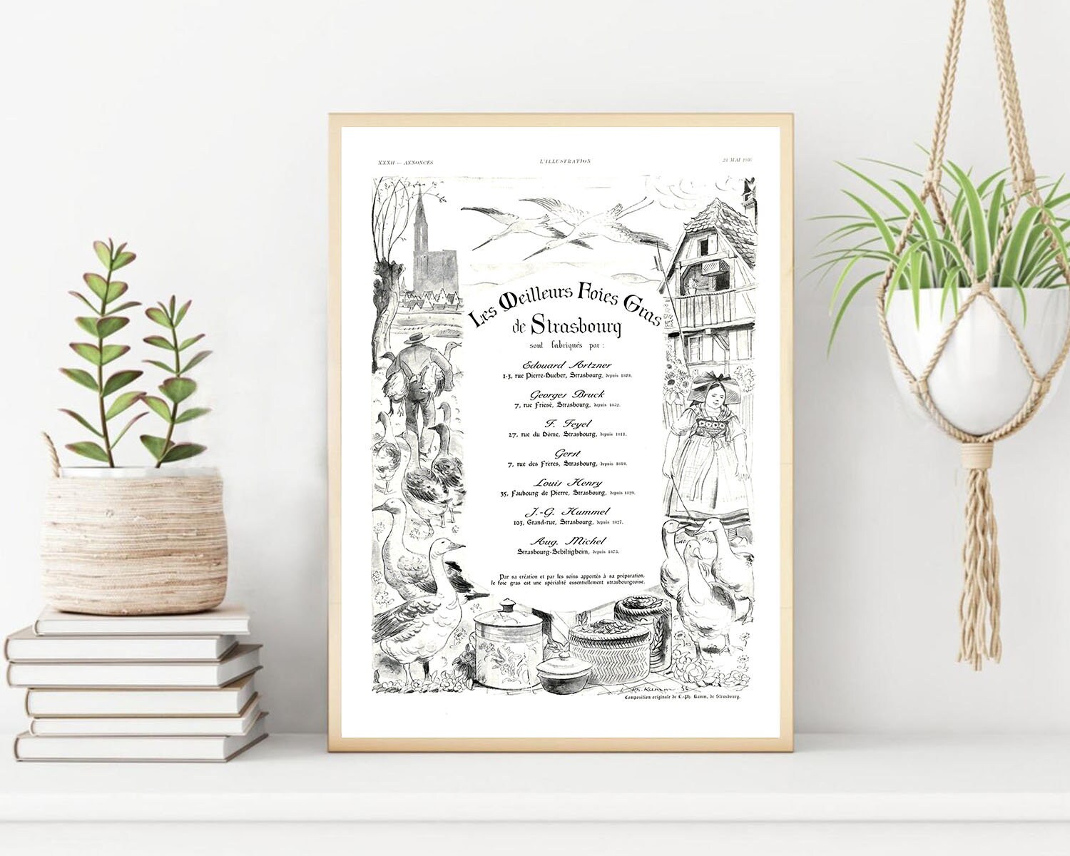 Rare & Authentique Affiche Vintage Années 30 - Fois Gras -30x40cm Sans Cadre Décoration Murale Idée 