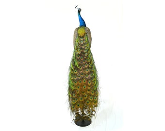 Professinal Vogel Präparator Indianer Pfau 4 von Trophy Collection