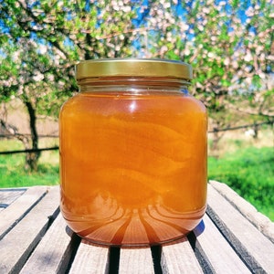 100% Pure Raw Honey In Glass! - 5 lbs