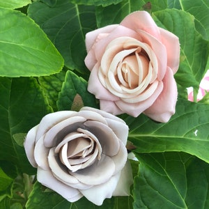 Beautiful Roses for Pet Collars