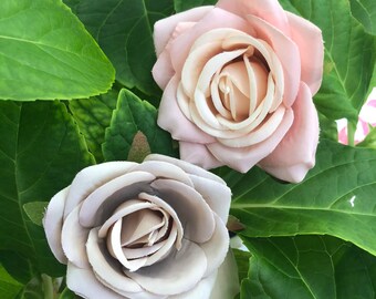 Beautiful Roses for Pet Collars