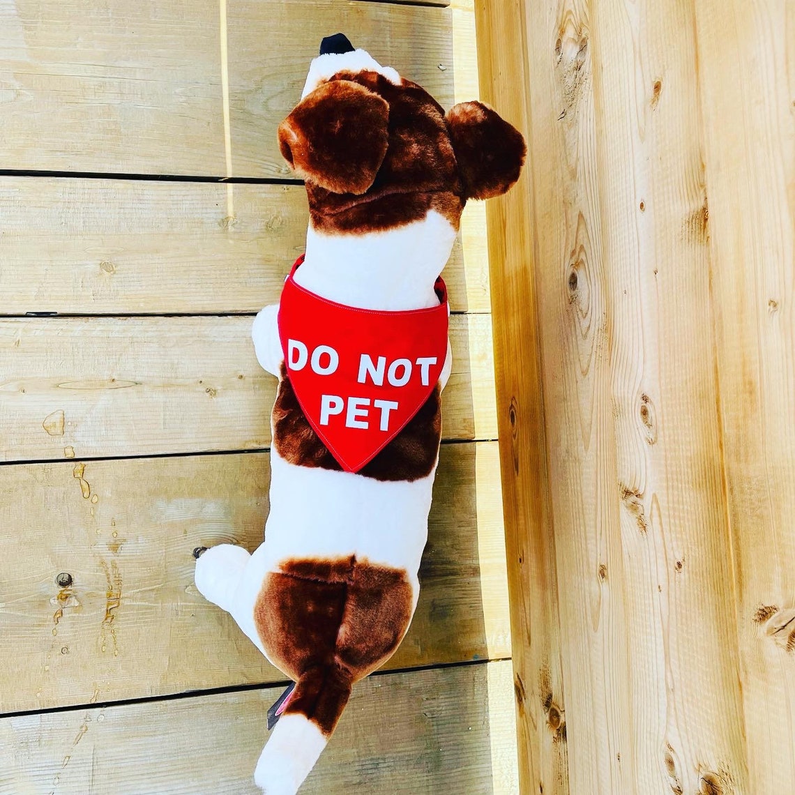 STOP Give me space Reactive Dog Bandana/ Foulard pour chien Etsy