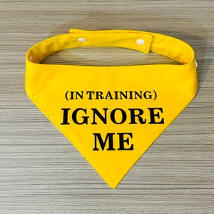 Ignore me (In Training) Reactive Dog Bandana/ Foulard pour chien personnalisé