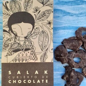 Chocolate covered Salak