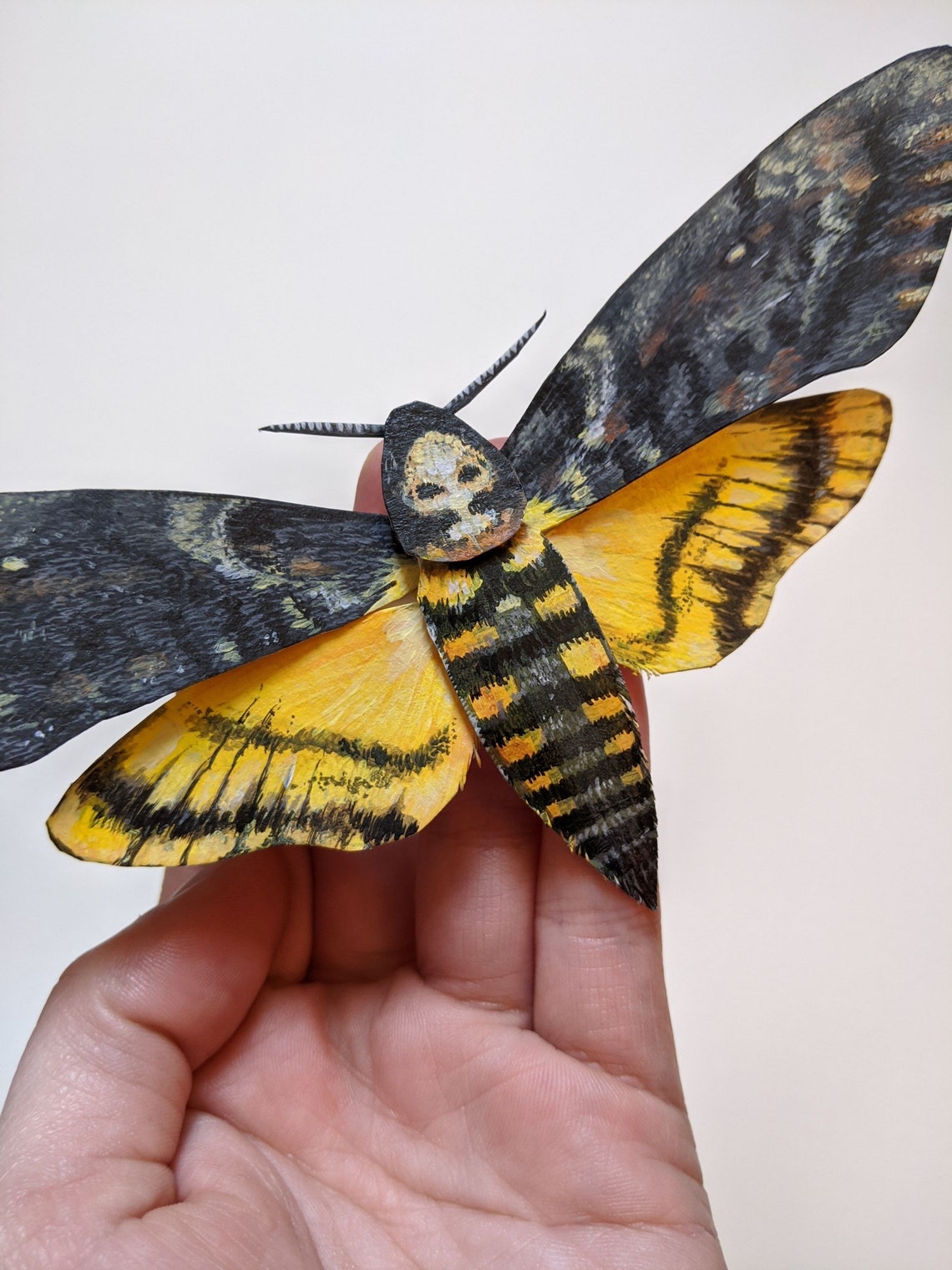 Deaths head moth/ faux taxidermy/ insect wall art sculpture/ | Etsy