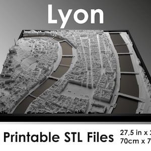 3D Lyon, World Map, 3d print stl file, Lyon skyline, Lyon map, digital file, housewarming gift, city map