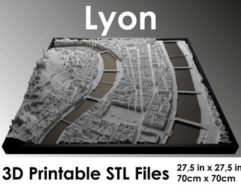 3D Lyon, World Map, 3d print stl file, Lyon skyline, Lyon map, digital file, housewarming gift, city map