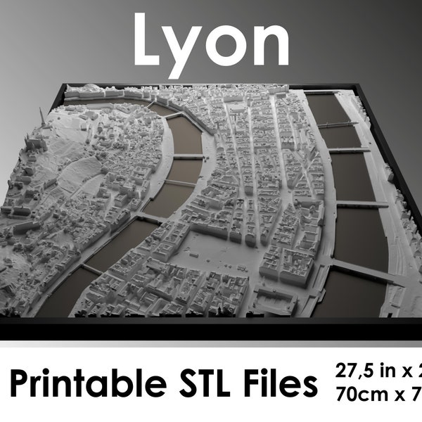 Lyon 3D, Carte du monde, fichier stl d'impression 3D, skyline de Lyon, carte de Lyon, fichier numérique, cadeau de pendaison de crémaillère, plan de la ville