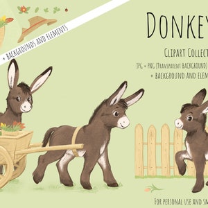 Clipart degli asini DOWNLOAD IMMEDIATO, Cute Donkey - Farm - Spring - Illustrazione disegnata a mano