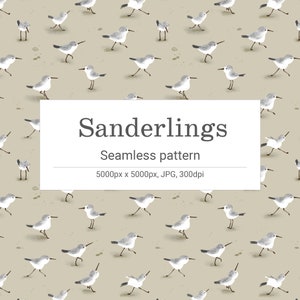 Sanderlings seamless pattern INSTANT DOWNLOAD background