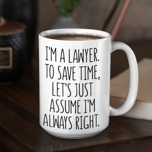 Christmas Gift for Lawyer, Lawyer Gift for Women, Funny New Lawyer Gift