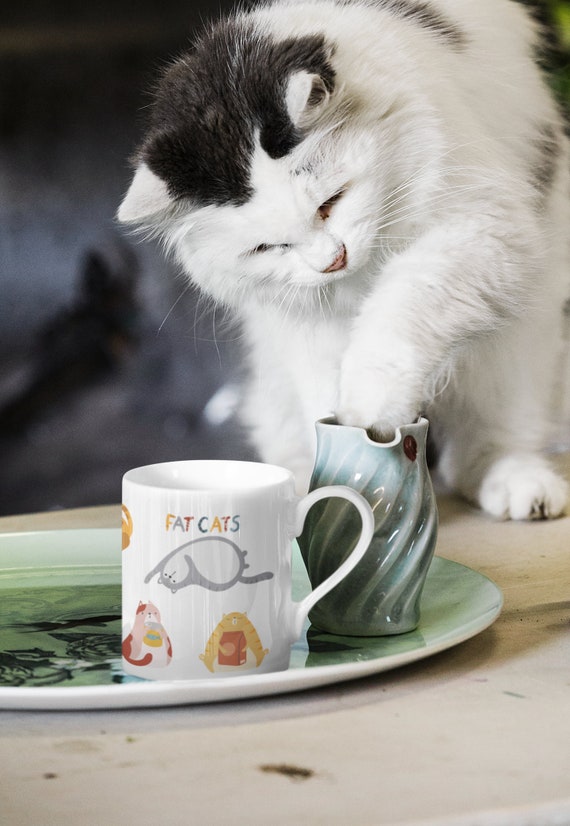 Gatti grassi, Tazza gatto grasso, Regalo divertente mamma gatto, regalo  gatto, tazza gatto, regalo amanti gatto, regalo amante gatto, regalo amante  gatto donne, regalo gatto san Valentino -  Italia